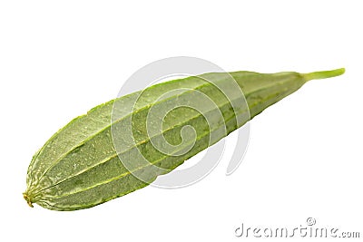 Ridge gourd Stock Photo