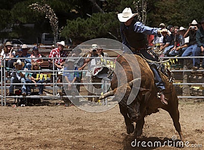 Riding The Bull Stock Photo