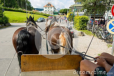 Riding a carriage pulled by a pair of horses. Stock Photo