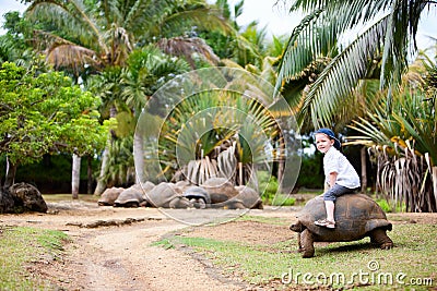 Riding Giant Turtle Stock Photo