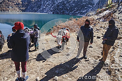 Riding yak with saddle among tourists and tamers in winter in Tashi Delek near Gangtok. North Sikkim, India. Editorial Stock Photo