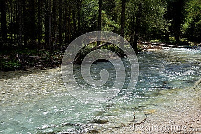 Rienza stream in the woods Stock Photo