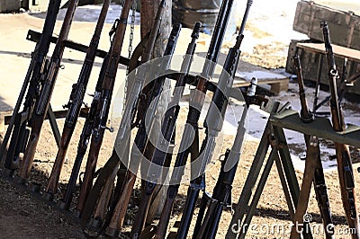 Rifles and shotguns in the tent Stock Photo