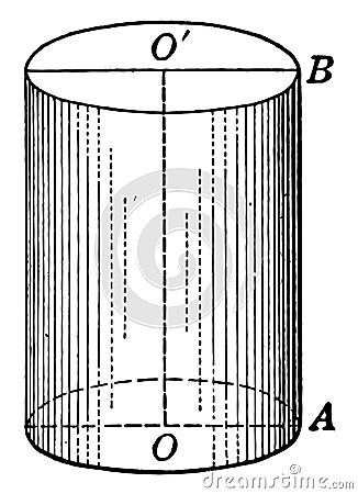 Right Circular Cylinder vintage illustration Vector Illustration