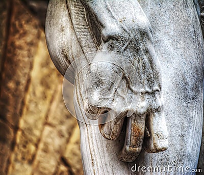 Right hand close up of Michelangelo's David in Piazza della Sign Stock Photo