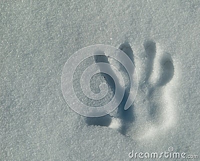 Right Hand Print Stock Photo