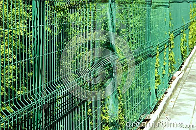 Rigid Mesh Fencing Panels Stock Photo