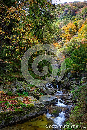 An Autumn Stream in Rila Mountain, Bulgaria Stock Photo