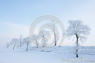 Rime Stock Photo