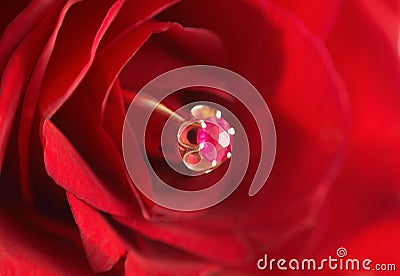 Ring with ruby in red rose Stock Photo