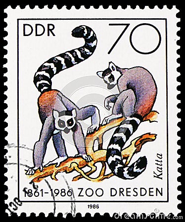 Ring-tailed Lemur Lemur catta, 125 Years of Dresden Zoo serie, circa 1986 Editorial Stock Photo