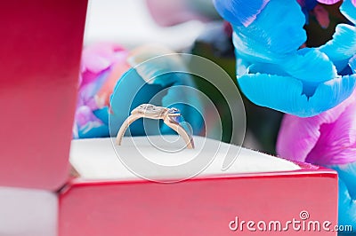 Ring and unusual multi colored tulips Stock Photo