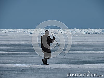 Ringed seal hunt in the Canadian Arctic, subsistence hunting with Inuit hunters Stock Photo