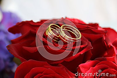 Rings for marriage Stock Photo