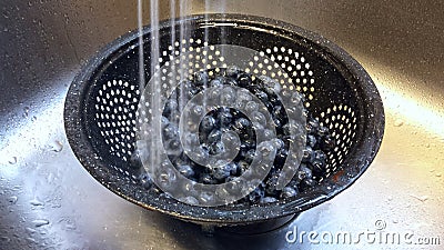 Rinsing blueberries Stock Photo