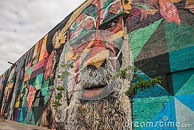 Rio de Janeiro, Brazil: The biggest Graffiti in the world in honor of the Olympic Games in Porto. Boulevard Olimpico, Las Etnias. Editorial Stock Photo