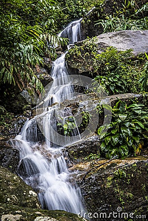 Rio De Janeiro Waterfall in Tijuca Forest Stock Photo