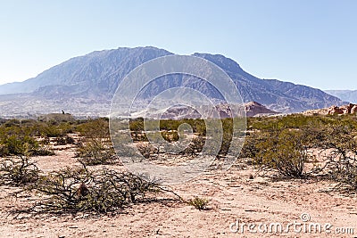 Rio de las Conchas river and Quebrada de Cafayate, Salta, Argentina Stock Photo