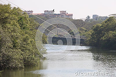 Rio de Ourem, Panaji, Goa, India. Stock Photo