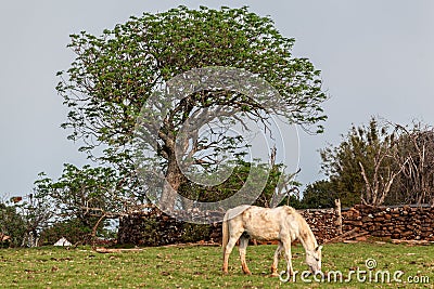 Rio Grande do Sul Brazil Stock Photo