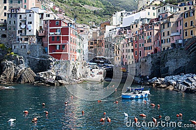 Riomaggiore - Cinque Terre Editorial Stock Photo