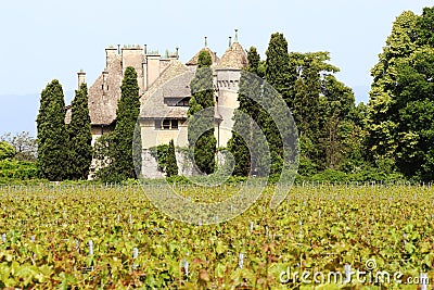 Chateau de Ripaille and vineyard, Ripaille, Savoie, France Stock Photo