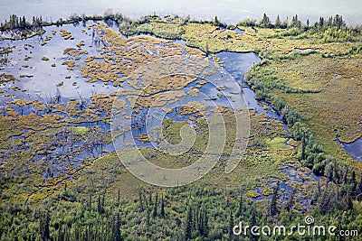 Riparian sub-arctic boreal forest wetland aerial Stock Photo
