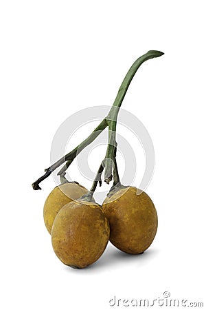 Ripe acera or betel palm nut fruit with path Stock Photo