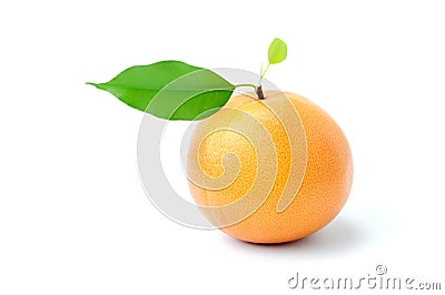 Ripe appetizing grapefruit with leaf Stock Photo