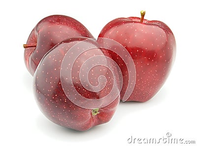Ripe apples Stock Photo