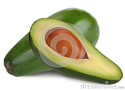 Ripe avocado Vector Illustration