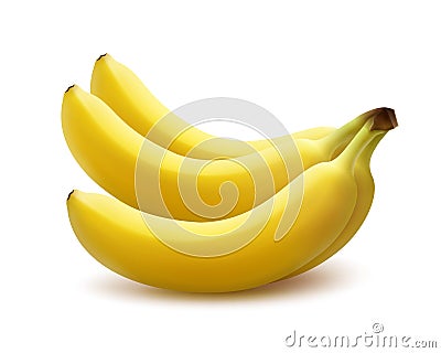 Ripe banana bunch Vector Illustration