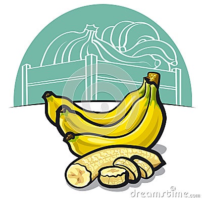 Ripe bananas Stock Photo