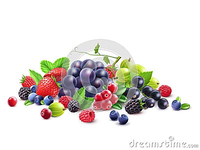 Ripe Berries Template Vector Illustration