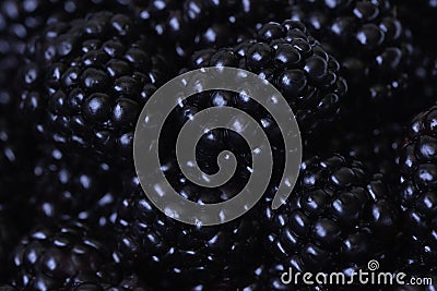Ripe blackberries macro photography Stock Photo