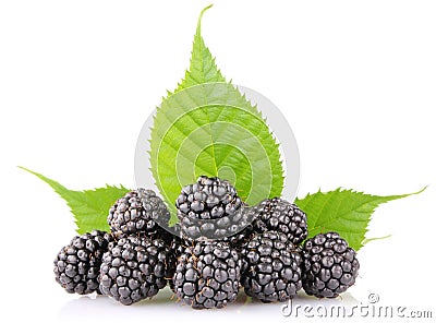 Ripe blackberry with green leaf Stock Photo