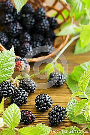 Ripe blackberry Stock Photo