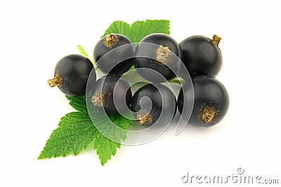 Ripe blackcurrant Stock Photo