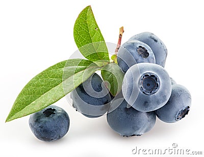 Ripe blueberries . Stock Photo