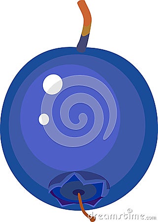 Ripe blueberry isolated on white background Vector Illustration