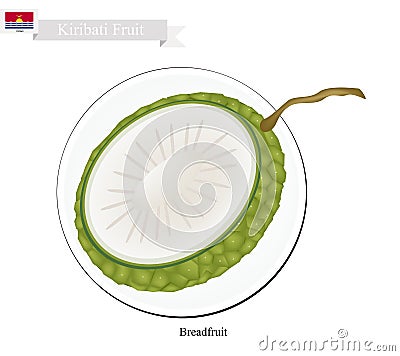 Ripe Breadfruit, A Popular Fruit in Kiribati Vector Illustration