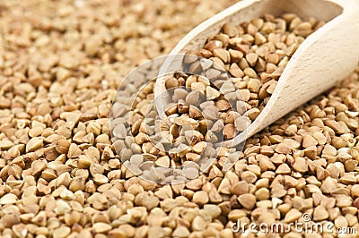 Ripe buckwheat Stock Photo
