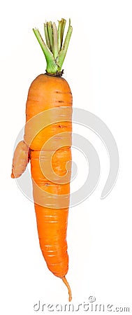 Ripe carrot Stock Photo