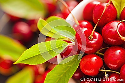 Ripe cherries Stock Photo