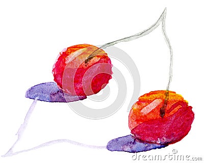 Ripe cherry with watercolor paint Stock Photo