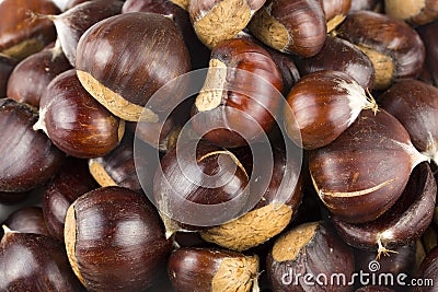 Ripe chestnuts close up. Raw Chestnuts Stock Photo