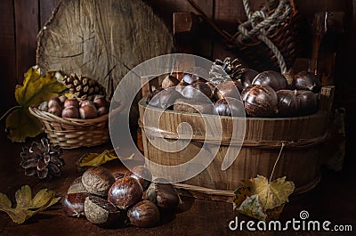 ripe chestnuts Stock Photo