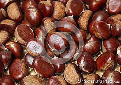Ripe chestnuts Stock Photo