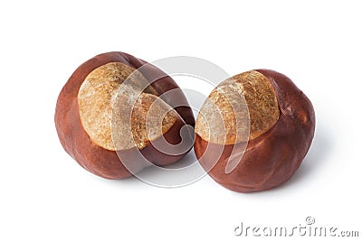Ripe chestnuts Stock Photo