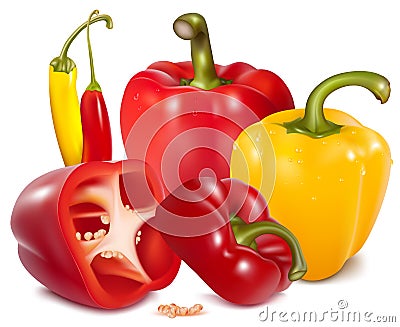Ripe colored peppers Vector Illustration